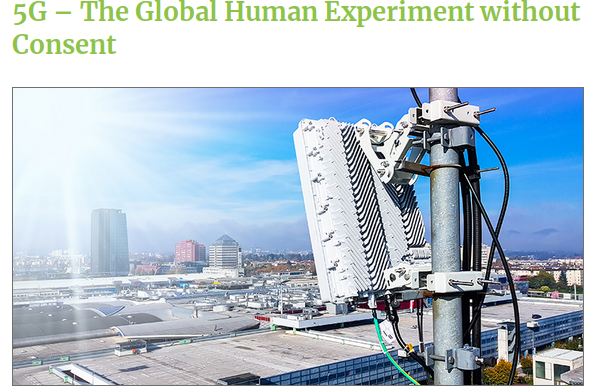5g global human exp